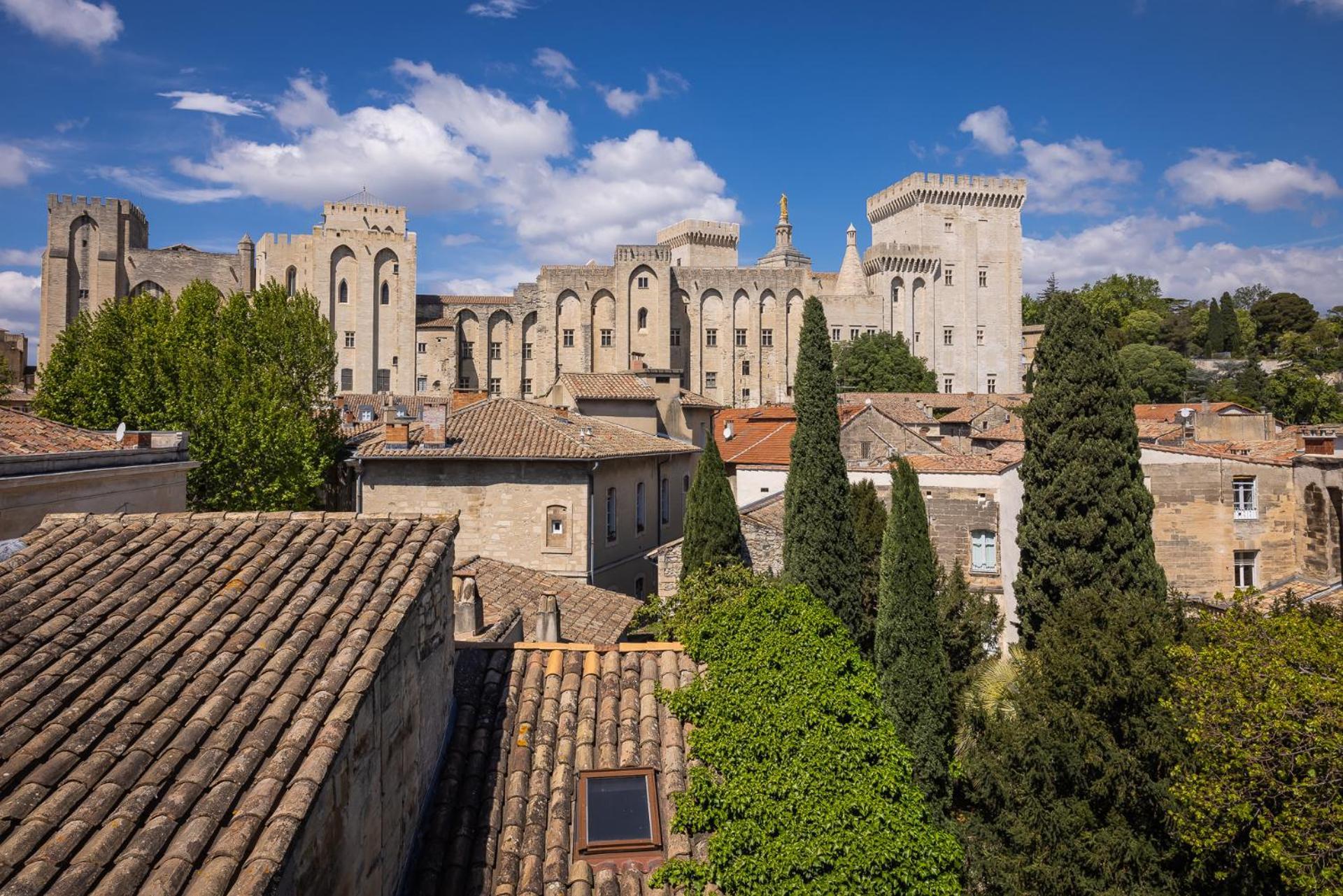 Avignon Intra-Muros, Vue Palais Des Papes Bagian luar foto